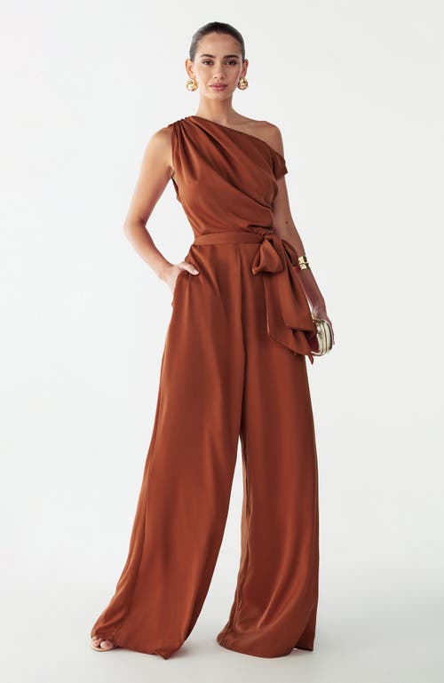 Willa Sky Jumpsuit In Brown
