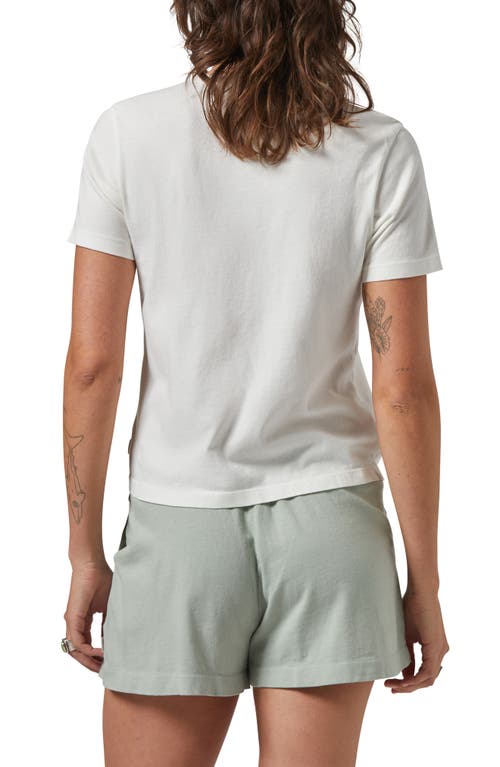 Brixton Carefree Organic Cotton T-shirt In Off White