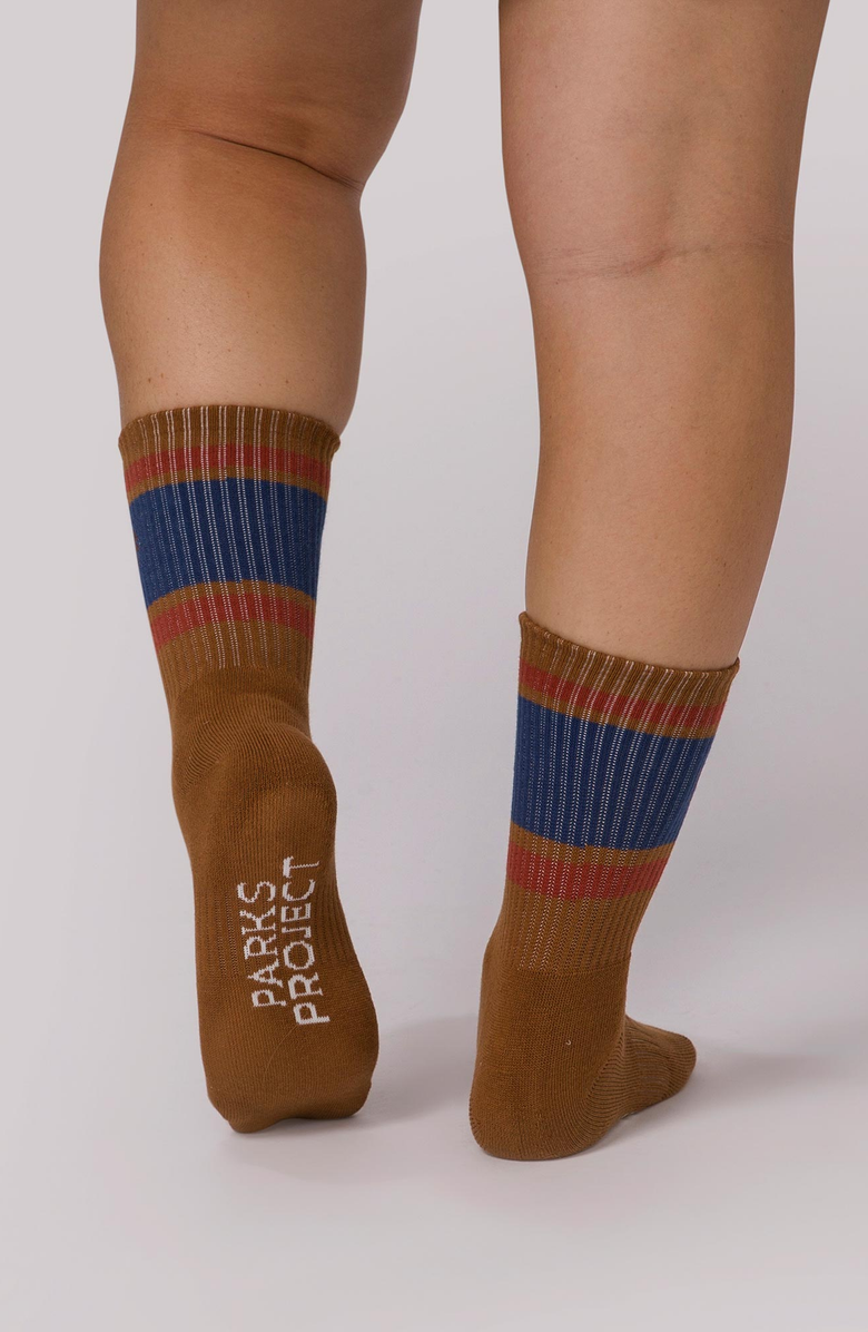 Parks Project Trail Crew Tube Sock 2 Pack, Alternate, color, Brown And Natural