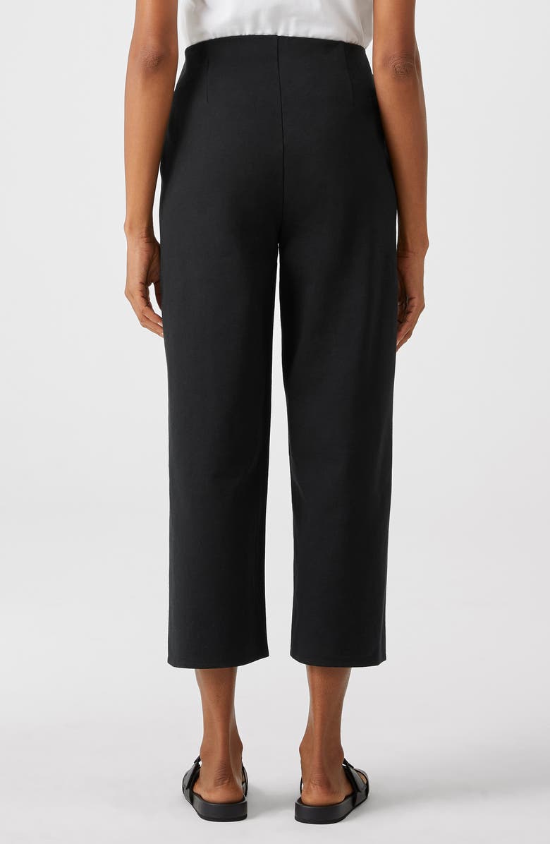 Eileen Fisher High Waist Cropped Straight Leg Pants, Alternate, color,