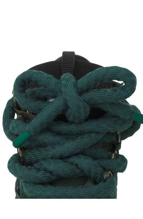 Lanvin Curb Sneakers In Leather With Snake Laces In Multi