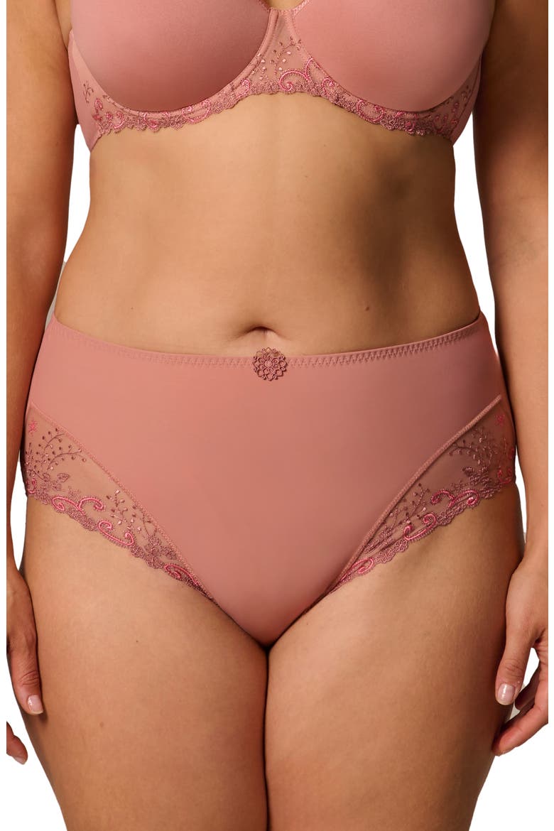 Delice Retro Briefs, Alternate, color, SMOKEY PINK