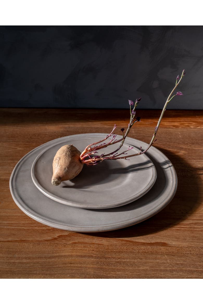Earth Oval Dinner Plate - Set of 4, Alternate, color, Brown
