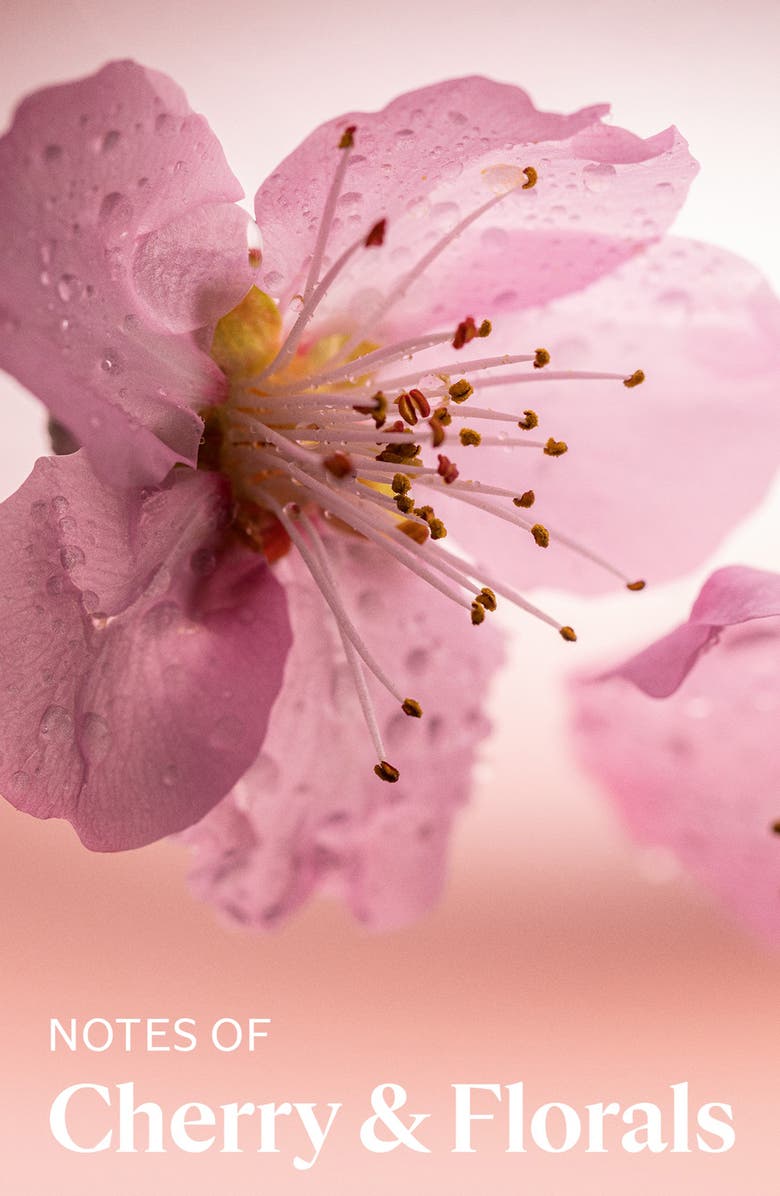 L'Occitane Best Provence Hand Cream Trio, Alternate, color,