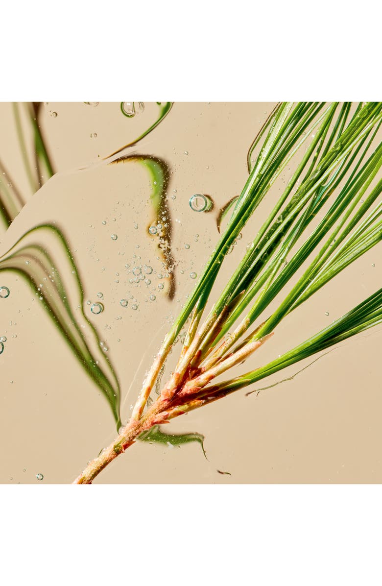 Tata Harper Skincare Home & Away Regenerating Cleanser Set, Alternate, color,