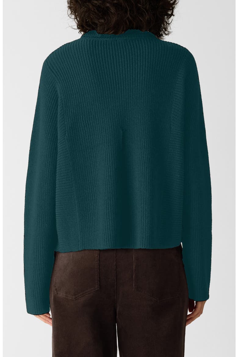 Merino Wool Turtleneck Sweater, Alternate, color, KELP