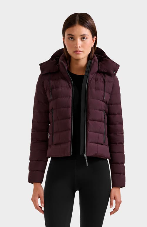 Rudsak Melissa Lightweight Down Puffer In Burgundy