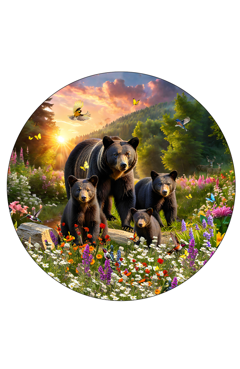 Sunsout Family Walk 500 piece Jigsaw Puzzle for Adults, Alternate, color, Multicolor