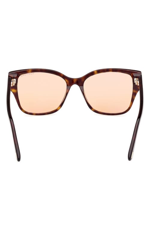 Tom Ford Elsa 55mm Butterfly Sunglasses