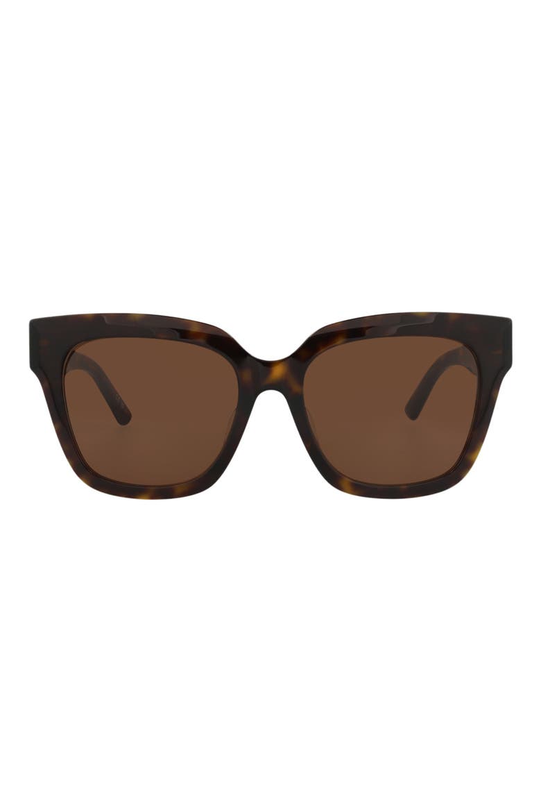 55mm Square Sunglasses, Main, color, HAVANA HAVANA BROWN