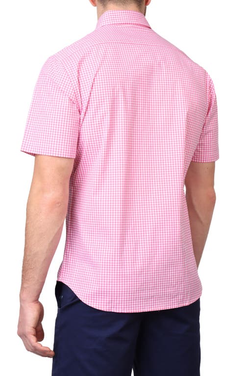 Tailorbyrd Gingham Short Sleeve Stretch Cotton Button-up Shirt In Rose Pink