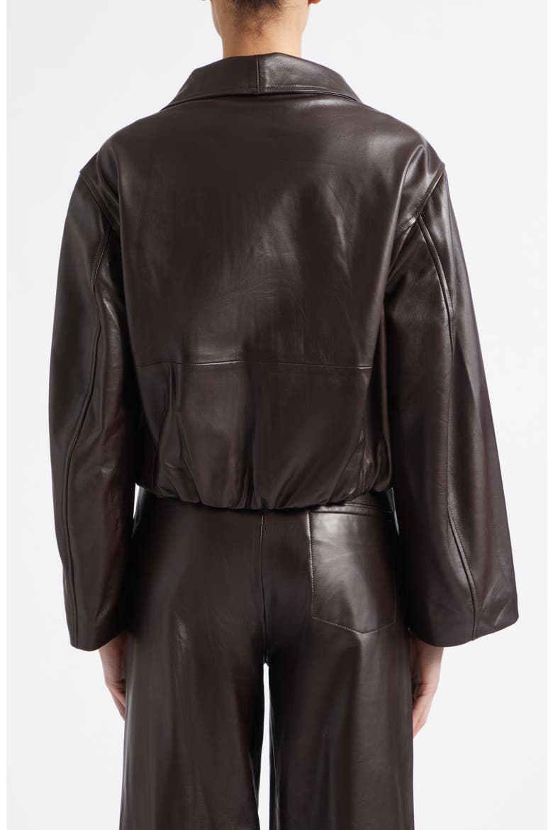 Etienne Everyday Leather Jacket, Alternate, color, DARK BROWN