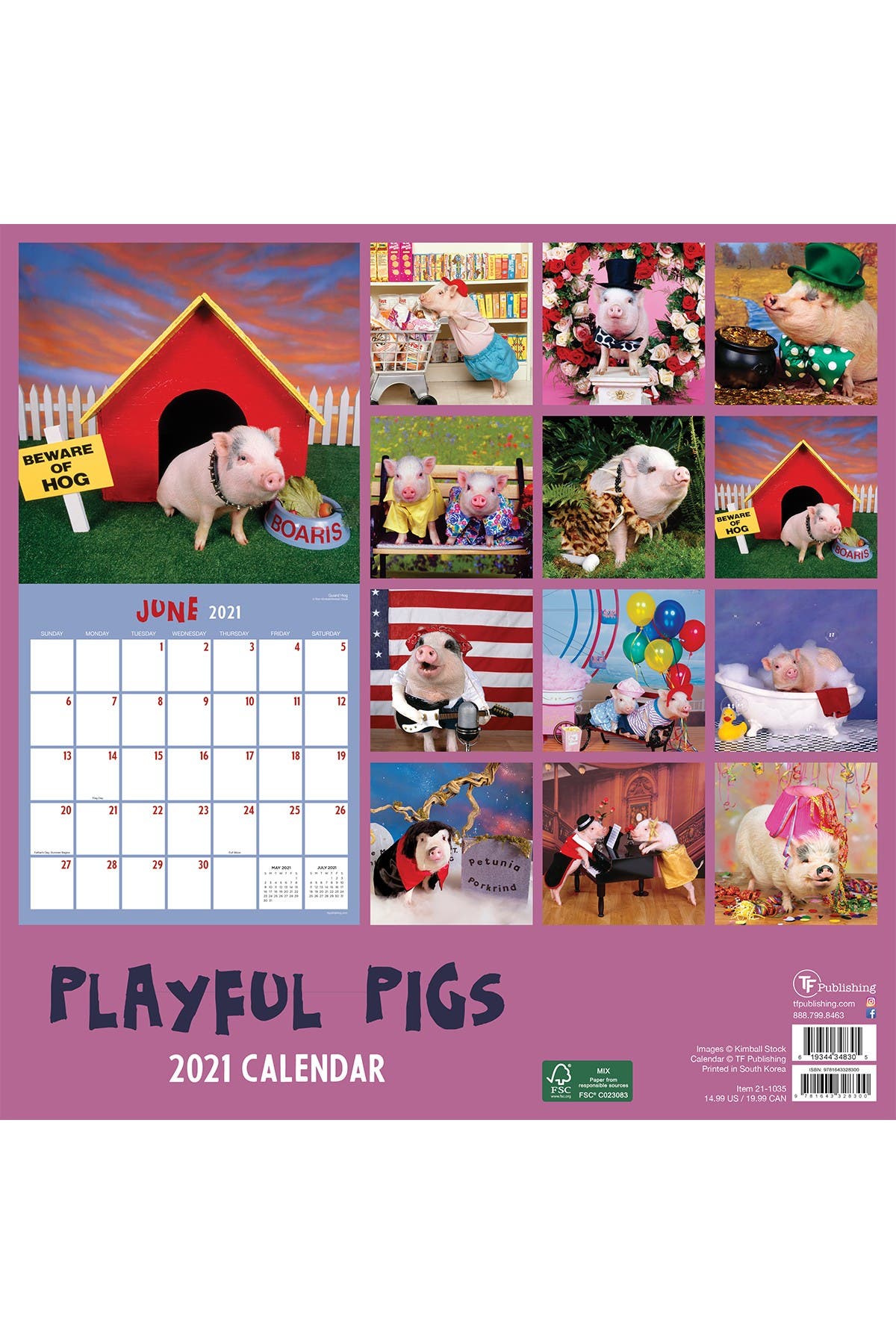 TF PUBLISHING 2021 Playful Pigs Wall Calendar | Nordstromrack