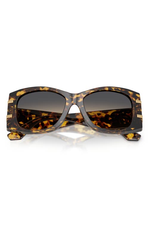 Dolce & Gabbana Dg4501 33302q In Brown