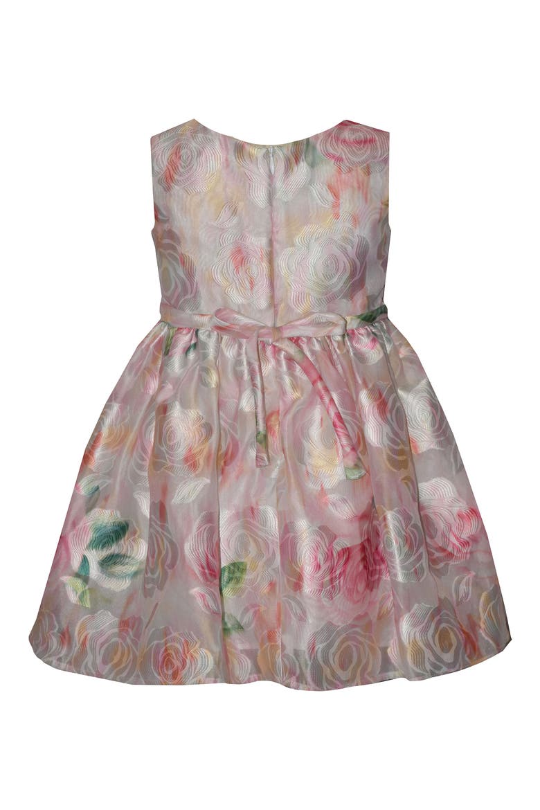 Kids' Burnout Jacquard Party Dress, Alternate, color, MULTI