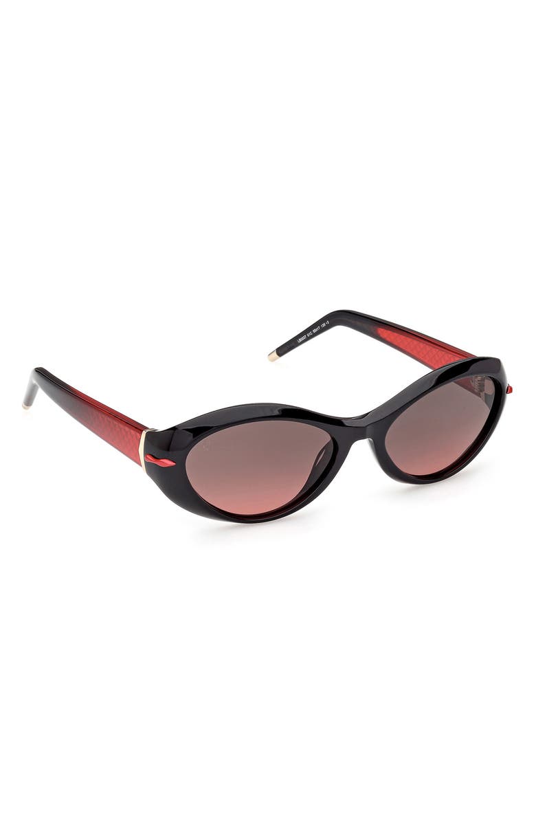 Christian Louboutin 55mm Oval Sunglasses, Alternate, color, 
