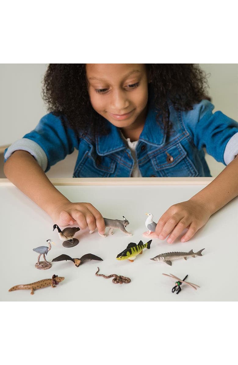 Safari Ltd. Great Lakes Toy, Alternate, color, NO COLOR