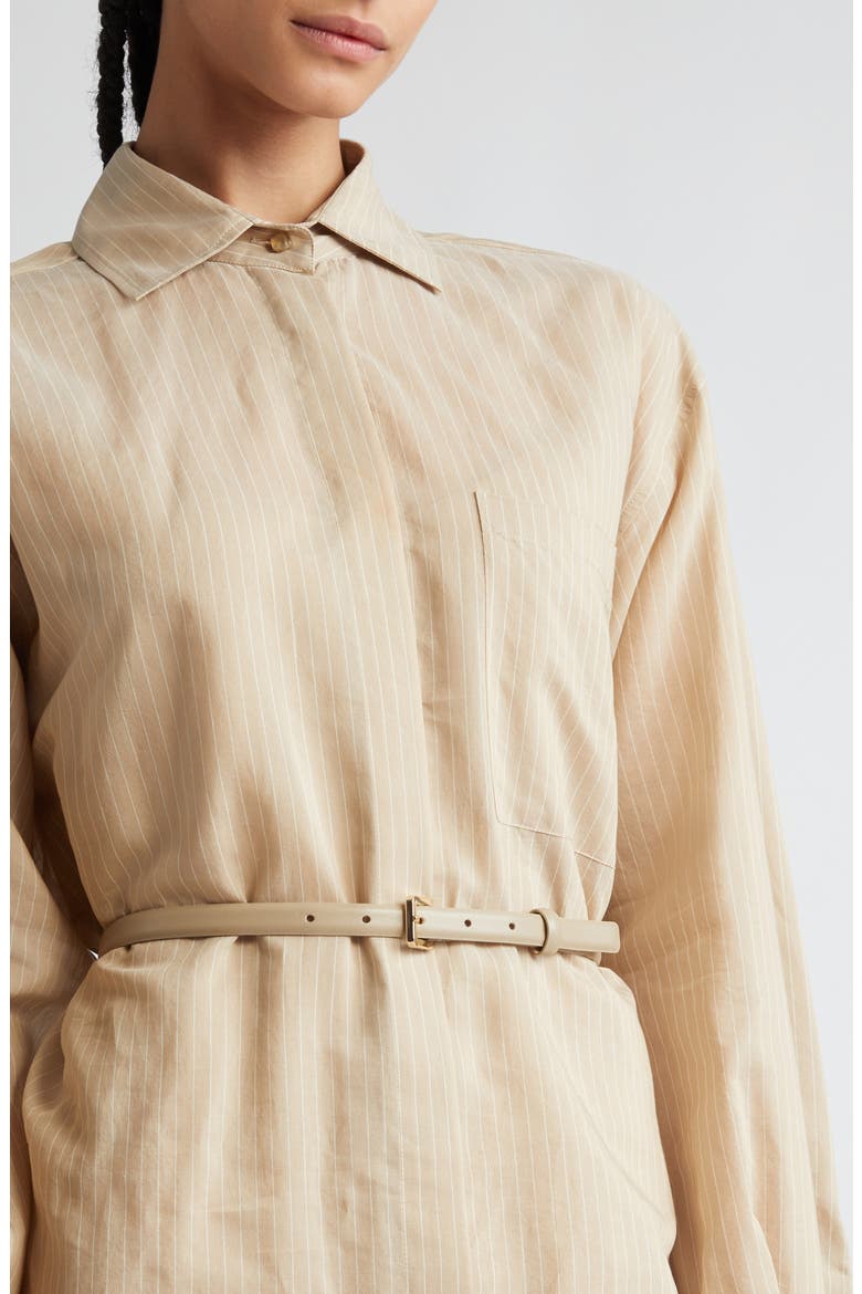 Brioso Pinstripe Cotton & Silk Shirtdress, Alternate, color, BEIGE