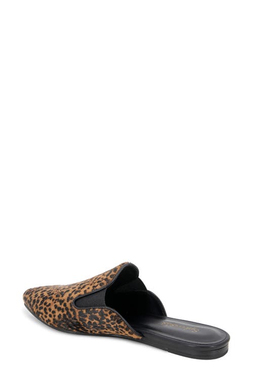 Splendid Liza Pointed Toe Mule In Brown