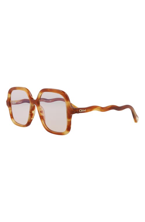 Chloé 54mm Core Square Sunglasses In Havana Havana Transparent