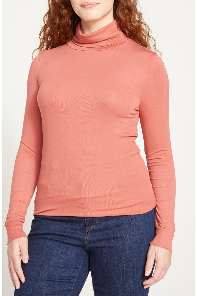 Foundation Turtleneck, Main, color, TERRACOTTA RED