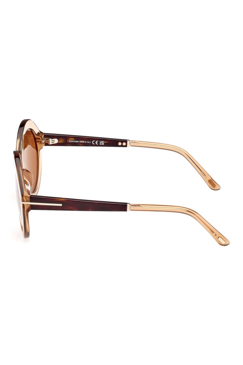 55mm Round Sunglasses, Alternate, color, SHINY LIGHT BROWN / BROWN