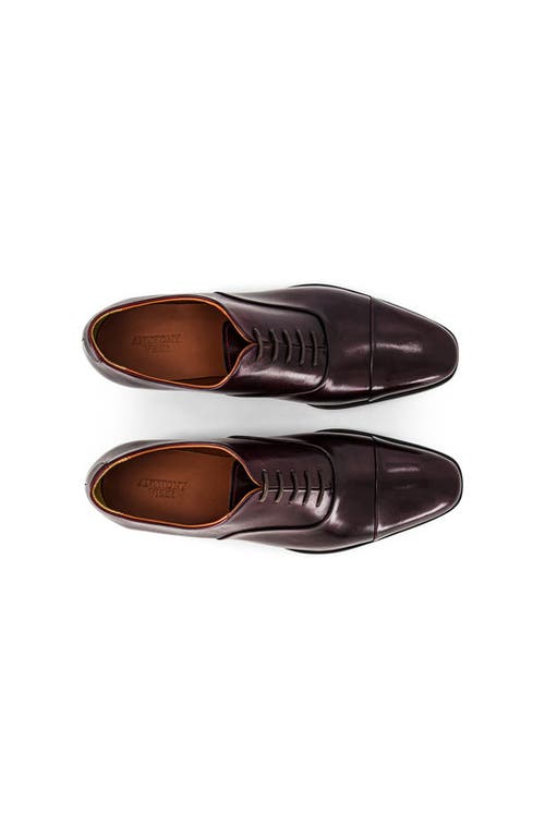 Anthony Veer Genoa Cap Toe Oxford In Brown