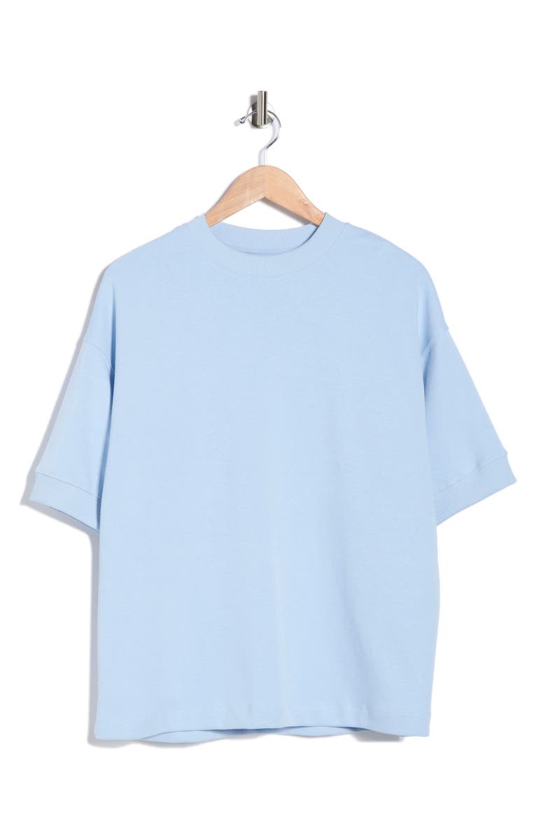 Heavyweight Knit T-Shirt, Alternate, color, POWDER BLUE