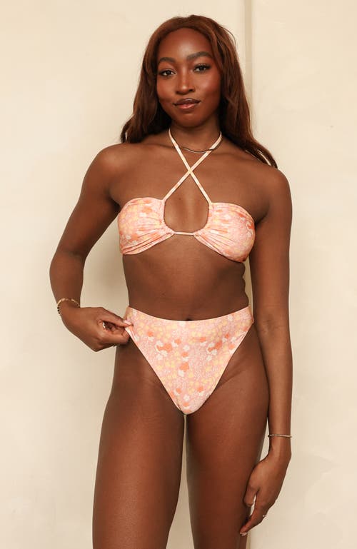Dippin Daisys Seashore High Waist Cheeky Bikini Bottom In Coral Garden