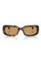  Havana / Brown