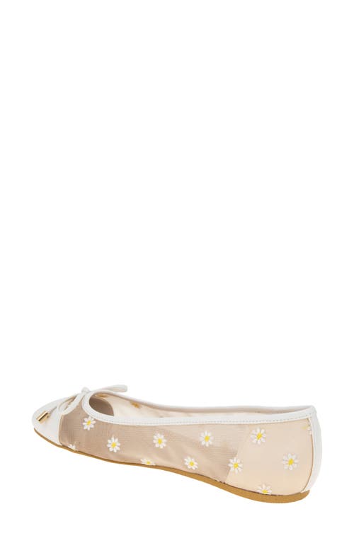 Bcbg Hartly Cap Toe Ballet Flat In White Daisy