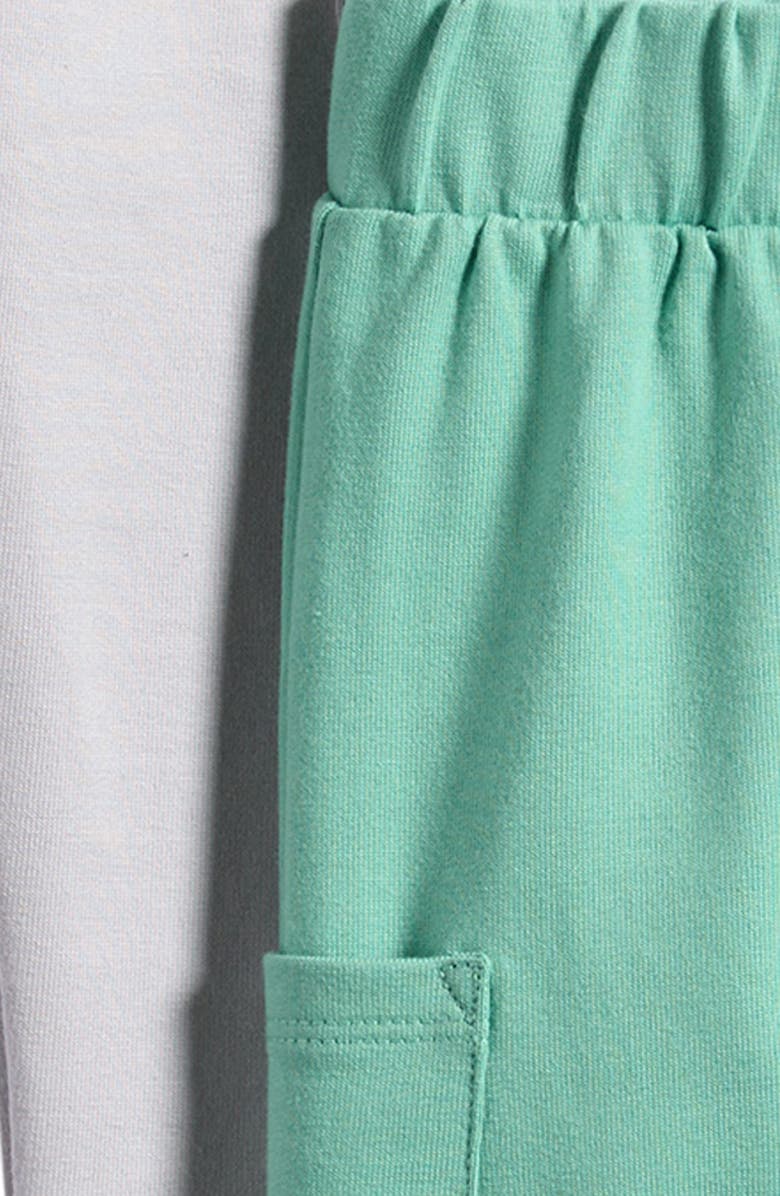 Little Planet 2-Pack Assorted Stretch Organic Cotton Pants, Alternate, color, Green Grey