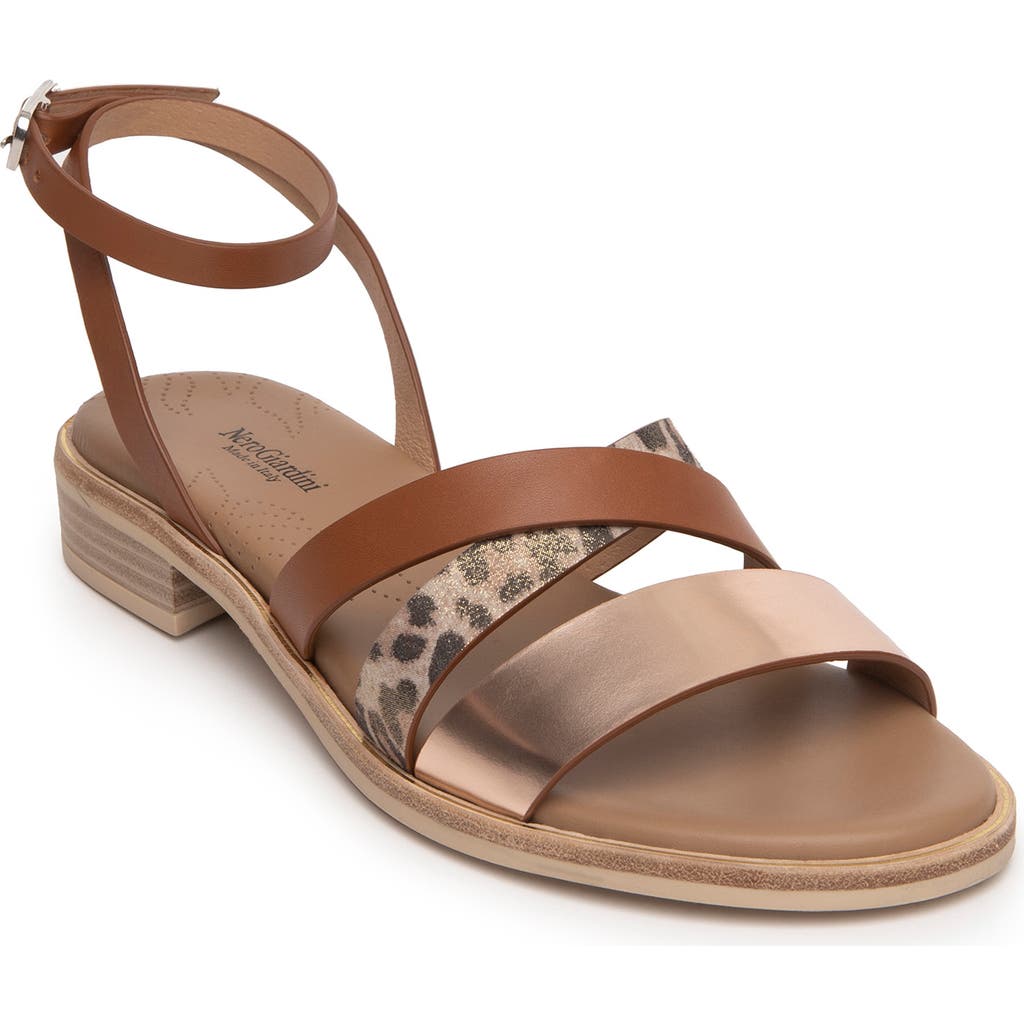 NeroGiardini Strappy Sandal in Cognac/Rose