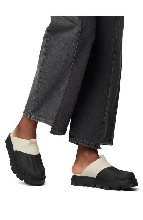 Sorel Rein Cb Clogs In Chalk/black