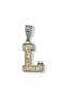  Silver/Gold L