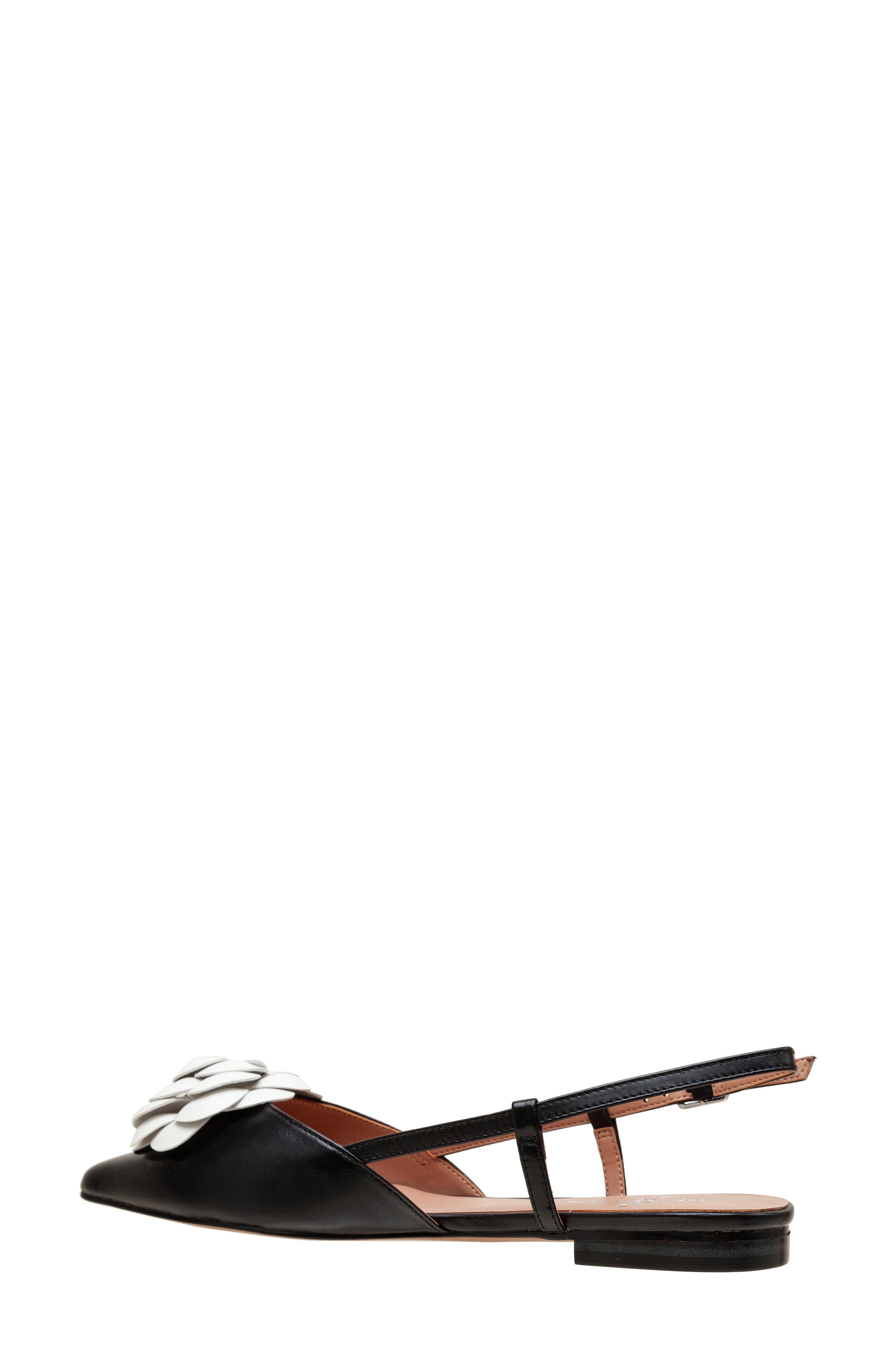 Linea Paolo Cammy Slingback Pointed Toe Flat, Alternate, color, Black/ Eggshell