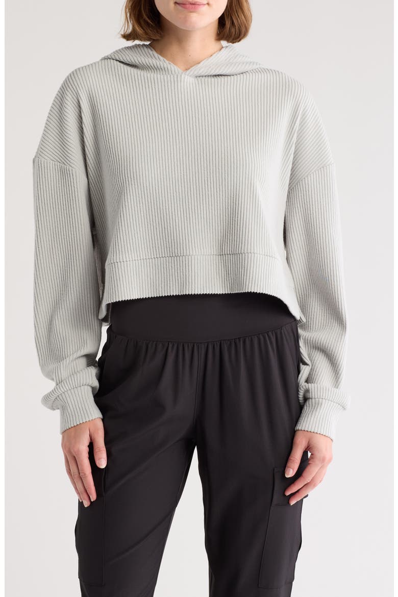 Crop Rib Hoodie, Main, color, GREY
