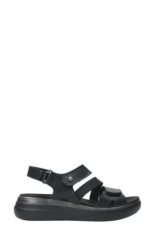Wolky Amara Sandal In Black