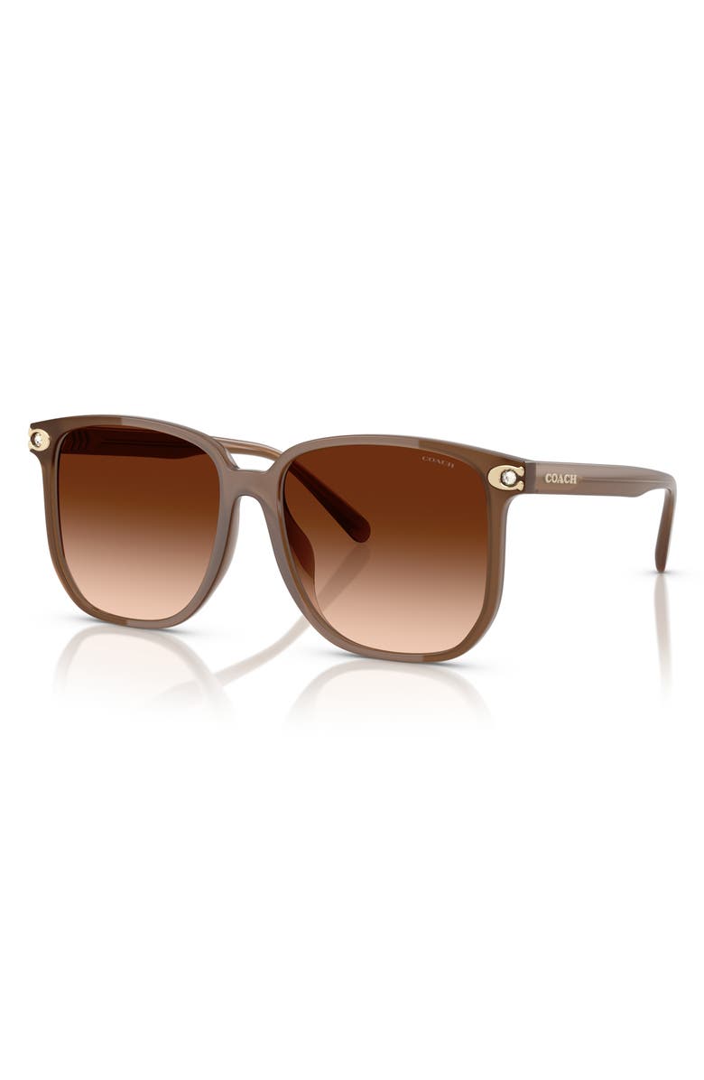 COACH 58mm Gradient Square Sunglasses, Alternate, color, Milky Brown / Brown Gradient