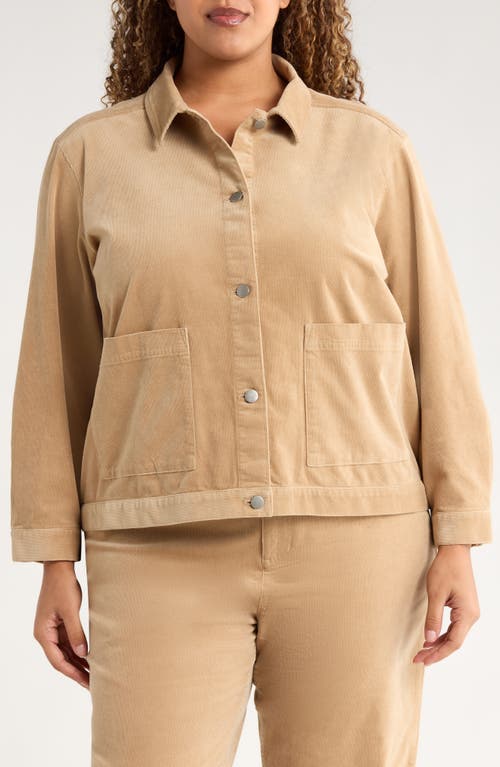 Eileen Fisher Classic Collar Corduroy Jacket In Brown