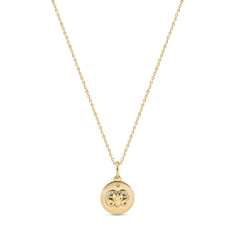 Beyond the Stars Zodiac Necklace