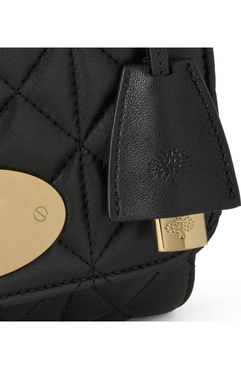 Mulberry Lily, Alternate, color,