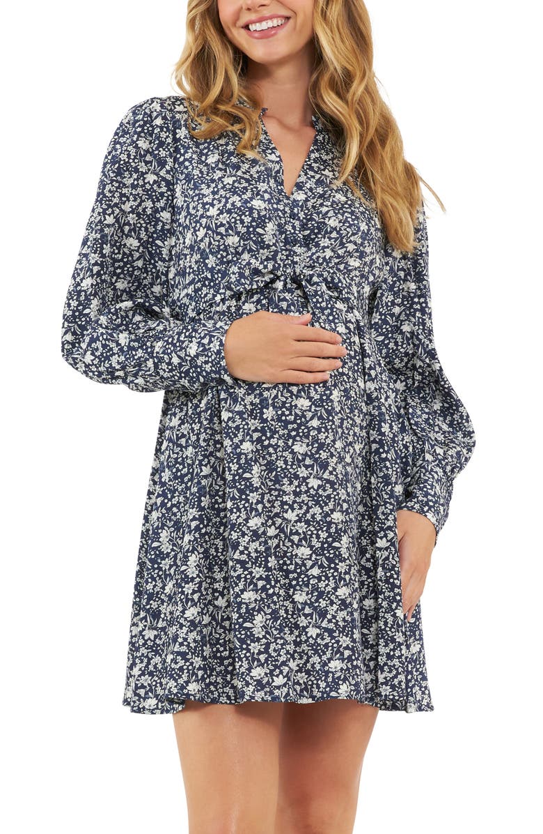 Ripe Maternity Thea Long Sleeve Tie Waist Maternity/Nursing Dress, Alternate, color,