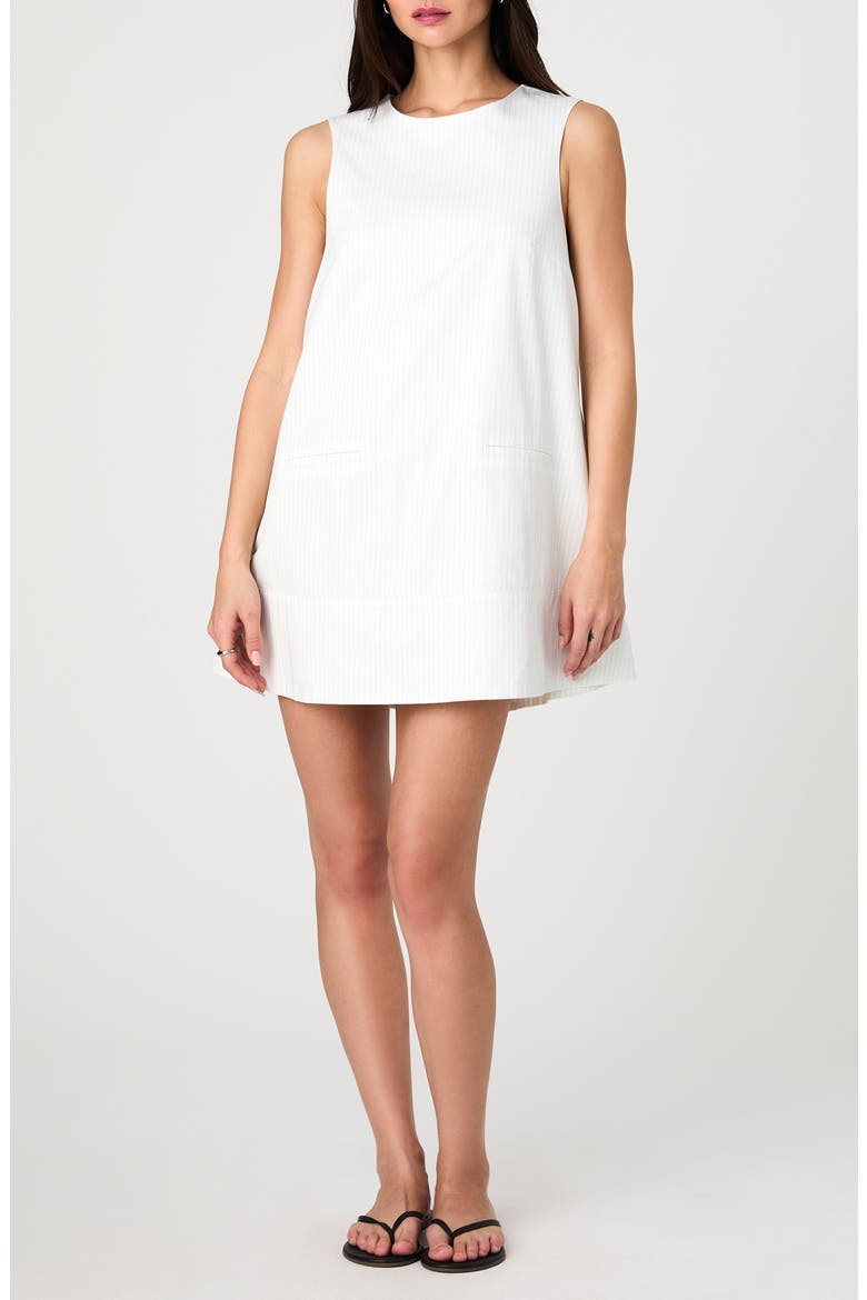 Sleeveless Shift Minidress, Main, color, CREAM-BLUE STRIPE