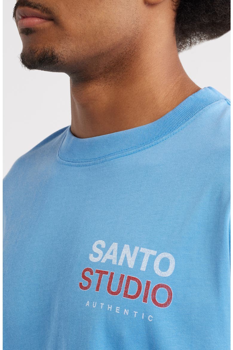 Authentic Cotton Graphic T-Shirt, Alternate, color, DUSTY BLUE