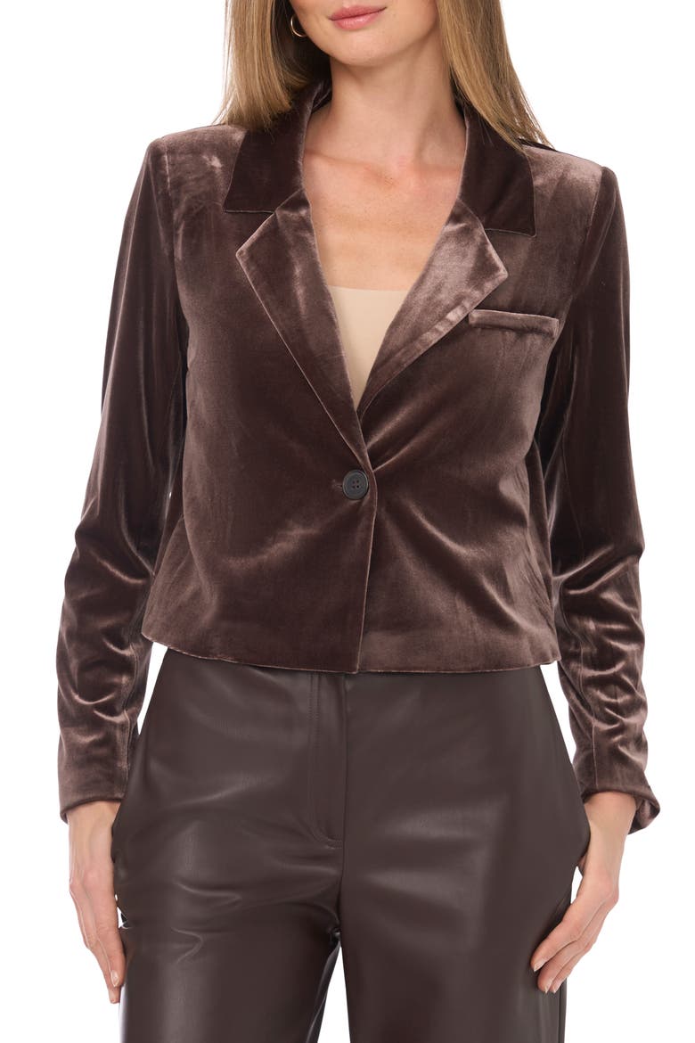 Velvet Crop Blazer, Main, color, CHOCOLATE
