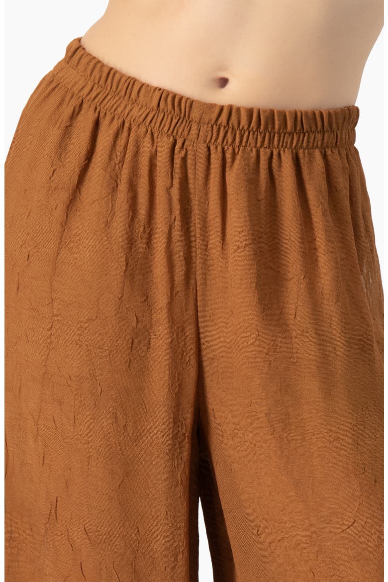 Airy Wide-Leg Elastic Waist Pants, Alternate, color, Brown