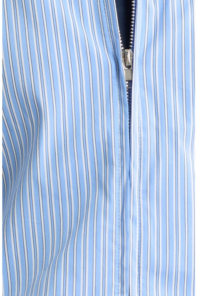 Winger Stripe Zip Top, Alternate, color, STRIPED LIGHT BLUE