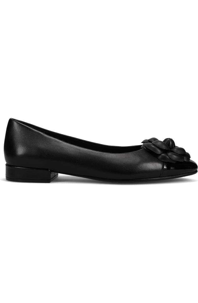 VANELi Tasina Cap Toe Flat, Alternate, color,