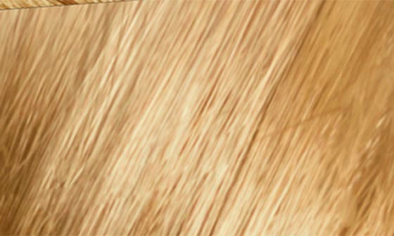 9.3 VERY LIGHT GOLDEN BLONDE